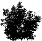 Shrub Icon