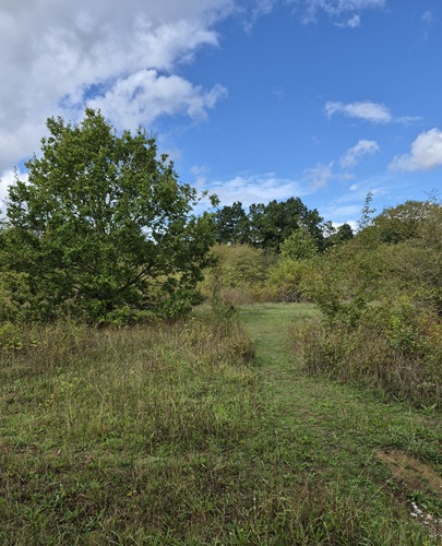 General Area in September
