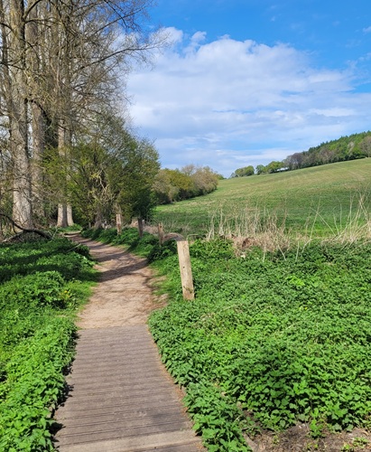 Woodland and Grassland