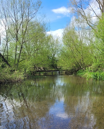 River Chess