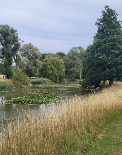 Lake