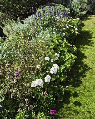 Flower Borders