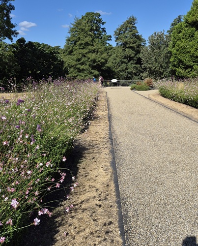 Flower Borders